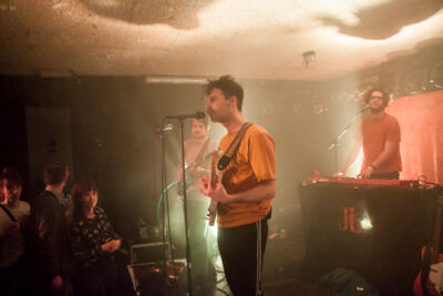 Jaguar Jaguar @ Muziekodroom club, picture 10, photographed by Hilde  Hermans - FrontView Magazine