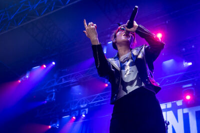 The Interrupters @ Jera On Air, foto 2, foto's door Erwin Evrard - FrontView Magazine