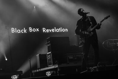 Black Box Revelation @ Dranouter, foto 6, foto's door Chris Lippens - FrontView Magazine
