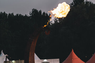 The Qontinent 2019 - Zondag, picture 244, photographed by Diëgo De Buck - FrontView Magazine