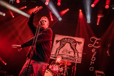 Red Zebra @ Fonnefeesten, foto 15, foto's door Danny Wagemans - FrontView Magazine