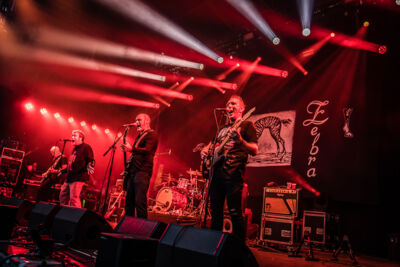 Red Zebra @ Fonnefeesten, foto 16, foto's door Danny Wagemans - FrontView Magazine