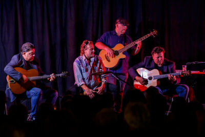 The Basily Gipsy Band @ Jazzathome, picture 4, photographed by Alex Wyckmans - FrontView Magazine