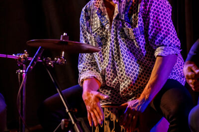 The Basily Gipsy Band @ Jazzathome, picture 5, photographed by Alex Wyckmans - FrontView Magazine