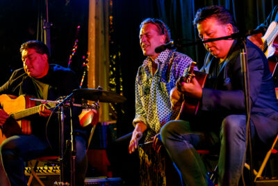 The Basily Gipsy Band @ Jazzathome, picture 6, photographed by Alex Wyckmans - FrontView Magazine
