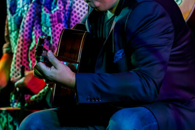 The Basily Gipsy Band @ Jazzathome, picture 9, photographed by Alex Wyckmans - FrontView Magazine