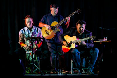 The Basily Gipsy Band @ Jazzathome, picture 10, photographed by Alex Wyckmans - FrontView Magazine