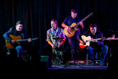 The Basily Gipsy Band @ Jazzathome, picture 11, photographed by Alex Wyckmans - FrontView Magazine
