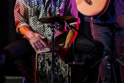 The Basily Gipsy Band @ Jazzathome, picture 12, photographed by Alex Wyckmans - FrontView Magazine