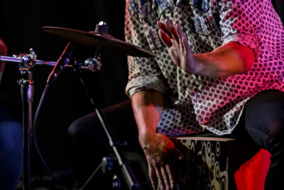 The Basily Gipsy Band @ Jazzathome, picture 15, photographed by Alex Wyckmans - FrontView Magazine