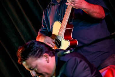 The Basily Gipsy Band @ Jazzathome, picture 17, photographed by Alex Wyckmans - FrontView Magazine