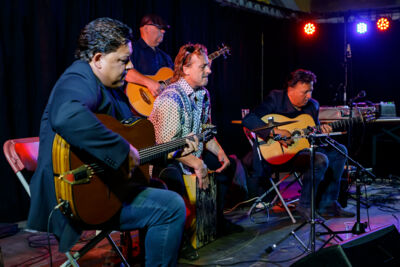 The Basily Gipsy Band @ Jazzathome, picture 22, photographed by Alex Wyckmans - FrontView Magazine