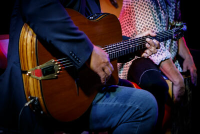 The Basily Gipsy Band @ Jazzathome, picture 23, photographed by Alex Wyckmans - FrontView Magazine