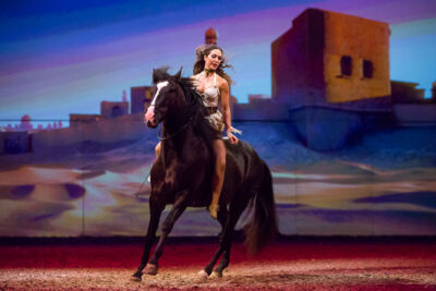 Cavalluna Legend of the desert @ Sportpaleis, picture 9, photographed by Marc Verdonck - FrontView Magazine