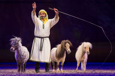 Cavalluna Legend of the desert @ Sportpaleis, picture 11, photographed by Marc Verdonck - FrontView Magazine