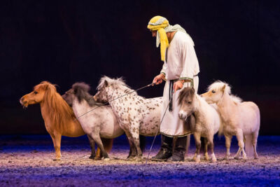 Cavalluna Legend of the desert @ Sportpaleis, picture 13, photographed by Marc Verdonck - FrontView Magazine