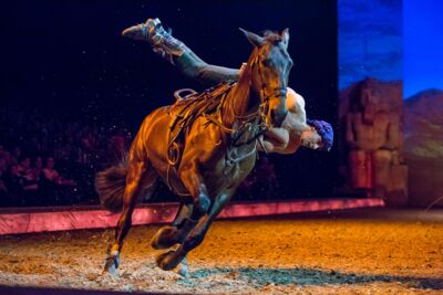 Cavalluna Legend of the desert @ Sportpaleis, picture 27, photographed by Marc Verdonck - FrontView Magazine