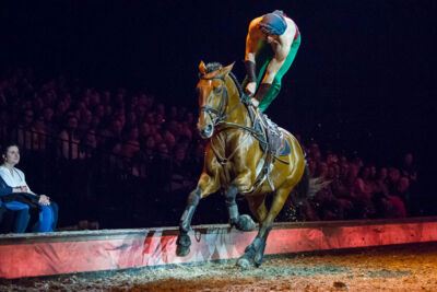 Cavalluna Legend of the desert @ Sportpaleis, picture 30, photographed by Marc Verdonck - FrontView Magazine