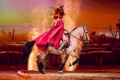Cavalluna Legend of the desert @ Sportpaleis, picture 36, photographed by Marc Verdonck - FrontView Magazine