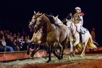Cavalluna Legend of the desert @ Sportpaleis, picture 56, photographed by Marc Verdonck - FrontView Magazine