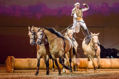 Cavalluna Legend of the desert @ Sportpaleis, picture 63, photographed by Marc Verdonck - FrontView Magazine