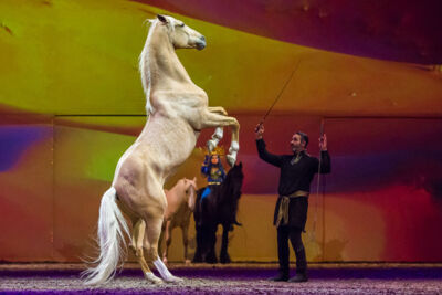 Cavalluna Legend of the desert @ Sportpaleis, picture 66, photographed by Marc Verdonck - FrontView Magazine