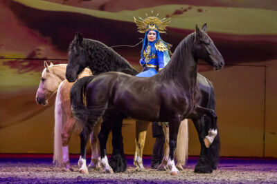 Cavalluna Legend of the desert @ Sportpaleis, picture 67, photographed by Marc Verdonck - FrontView Magazine