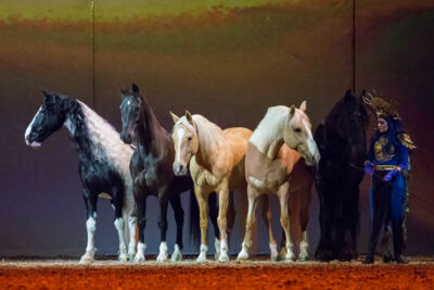 Cavalluna Legend of the desert @ Sportpaleis, picture 68, photographed by Marc Verdonck - FrontView Magazine