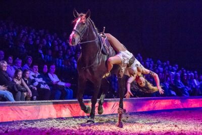 Cavalluna Legend of the desert @ Sportpaleis, picture 72, photographed by Marc Verdonck - FrontView Magazine