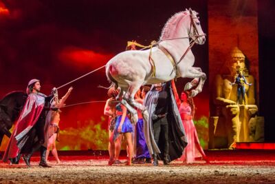 Cavalluna Legend of the desert @ Sportpaleis, picture 74, photographed by Marc Verdonck - FrontView Magazine