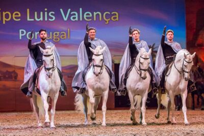 Cavalluna Legend of the desert @ Sportpaleis, picture 80, photographed by Marc Verdonck - FrontView Magazine