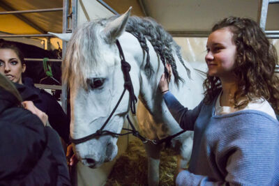Cavalluna Legend of the desert backstage @ Sportpaleis, foto 10, foto's door Marc Verdonck - FrontView Magazine