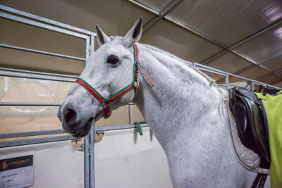 Cavalluna Legend of the desert backstage @ Sportpaleis, foto 14, foto's door Marc Verdonck - FrontView Magazine