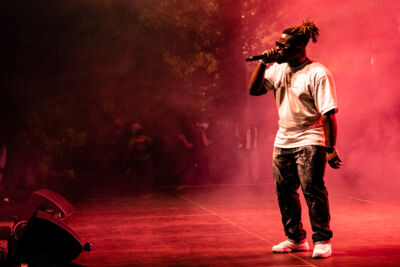 Freddie Konings @ OLT Rivierenhof, picture 10, photographed by Sandra Van Watermeulen - FrontView Magazine