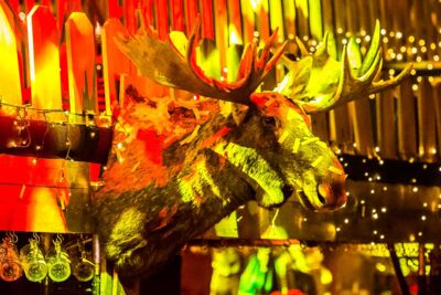 Moose Bar XXL @ Sportpaleis, picture 88, photographed by Marc Verdonck - FrontView Magazine