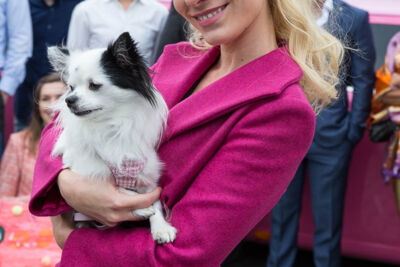 Legally Blonde Vlinderpaleis Antwerpen, picture 17, photographed by Marc Verdonck - FrontView Magazine