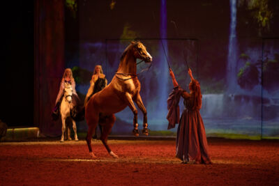 Cavalluna "Celebration" @ Sportpaleis, picture 3, photographed by dirk janssens - FrontView Magazine
