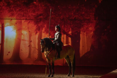 Cavalluna "Celebration" @ Sportpaleis, picture 10, photographed by dirk janssens - FrontView Magazine