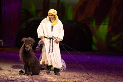 Cavalluna "Celebration" @ Sportpaleis, picture 12, photographed by dirk janssens - FrontView Magazine