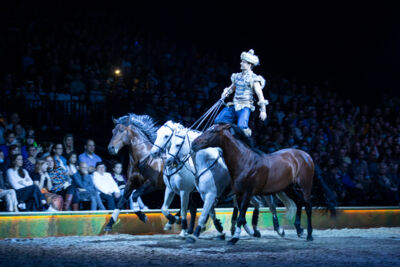 Cavalluna "Celebration" @ Sportpaleis, picture 21, photographed by dirk janssens - FrontView Magazine