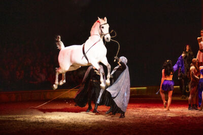 Cavalluna "Celebration" @ Sportpaleis, picture 27, photographed by dirk janssens - FrontView Magazine