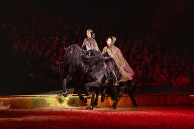 Cavalluna "Celebration" @ Sportpaleis, picture 28, photographed by dirk janssens - FrontView Magazine