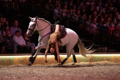 Cavalluna "Celebration" @ Sportpaleis, picture 33, photographed by dirk janssens - FrontView Magazine
