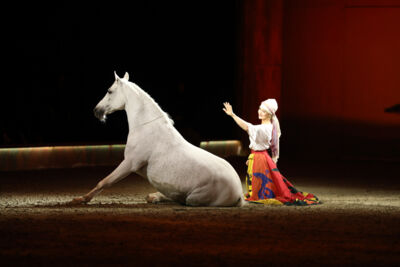 Cavalluna "Celebration" @ Sportpaleis, picture 40, photographed by dirk janssens - FrontView Magazine
