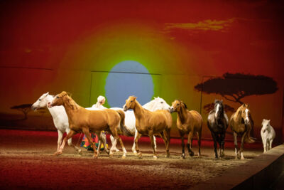 Cavalluna "Celebration" @ Sportpaleis, picture 43, photographed by dirk janssens - FrontView Magazine