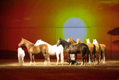 Cavalluna "Celebration" @ Sportpaleis, picture 45, photographed by dirk janssens - FrontView Magazine