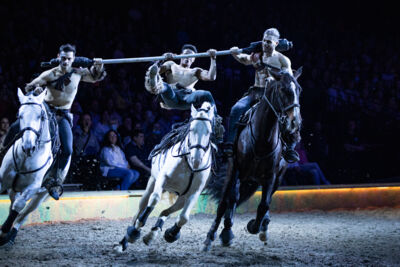 Cavalluna "Celebration" @ Sportpaleis, picture 46, photographed by dirk janssens - FrontView Magazine
