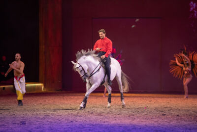 Cavalluna "Celebration" @ Sportpaleis, picture 61, photographed by dirk janssens - FrontView Magazine