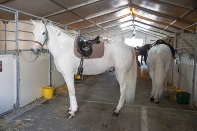Cavalluna "Celebration" stable Tour backstage @ Sportpaleis, picture 15, photographed by dirk janssens - FrontView Magazine