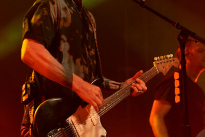 Bush @ Trix, picture 3, photographed by David Johnson - FrontView Magazine